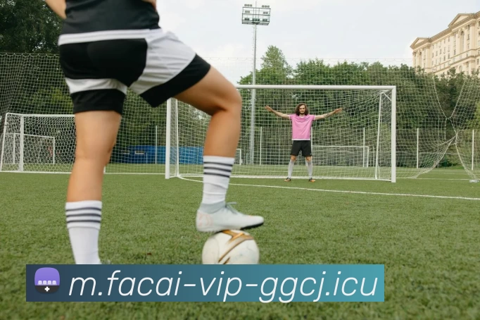 爱游戏体育品牌故事